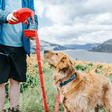 Load image into Gallery viewer, Multifunctional Dog Leash