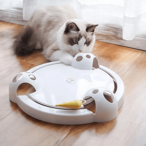 Interactive Mouse Pounce Cat Toy